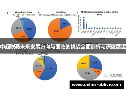 中超联赛未来发展方向与面临的挑战全面剖析与深度展望