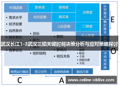 武汉长江1-3武汉三镇关键时刻决策分析与应对策略探讨