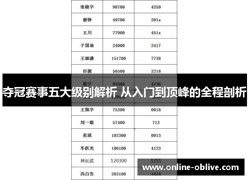 夺冠赛事五大级别解析 从入门到顶峰的全程剖析